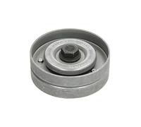 Ina 532040230 Tensionatori