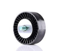 Ina 532051510 Tensionatori