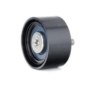 INA Galoppino guidacinghia 532 0556 10 - Cinghia Poly-V per BMW 3 E90/E91, 1 E87, X1/X3, 5 F11