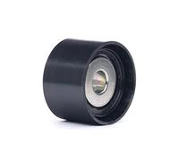 INA 532 0559 10 - Galoppino/Guidacinghia, Cinghia Poly-V | Compatibile con: MERCEDES-BENZ G-CLASS, G-CLASS Cabrio, GL-CLASS, M-CLASS, R-CLASS, S-CLASS