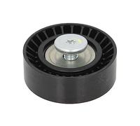 INA Tenditore 532063910 - Galoppino guidacinghia per cinghia Poly-V