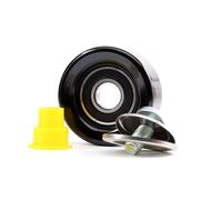 INA Tenditore 532063910 - Galoppino guidacinghia per cinghia Poly-V