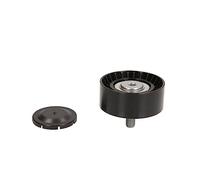 INA Galoppino/Guidacinghia, Cinghia Poly-V per BMW MINI BMW (BRILLIANCE)