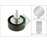 INA 532 0908 10 Deviazione/Puleggia Guida, Cinghia Scanalata per Ford, Ford