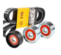INA 532 1032 10 Kit di rulli, Cinghia Poly-V