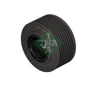 INA 532 1066 10 Galoppino/Guidacinghia, Cinghia Poly-V per BMC,DAF,KING LONG
