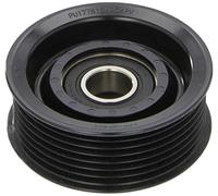 Ina 532058010 Kit Tendicinghia