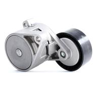 INA 533 0015 10 Braccio tenditore, Cinghia Poly-V