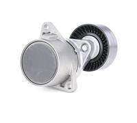 Ina 533 0017 10 Braccio Tenditore Cinghia Poly-V