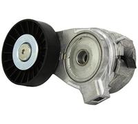 INA 533 0022 10 Braccio tenditore Cinghia Poly-V