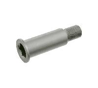 Perno Di Banco Leva Rullo Tenditore Ina 533 0064 20