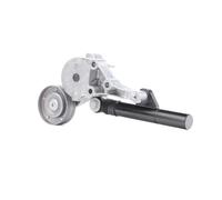 INA 533 0081 30 Braccio tenditore Cinghia Poly-V Ø70mm per VW Bora Variant (1J6)