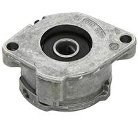 Ina 533008630 Tensionatori