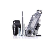 INA 533 0097 10 - Kit Riparazione, Braccio Tenditore-Cinghia Poly-V