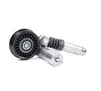 TENDICINGHIA CUSCINETTO AUSILIARE MOTORI 1.9 TDI GOLF IV 4 PASSAT INA 534001410