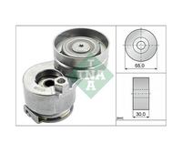 INA 534 0027 10 Tensionatore Cinghia A V Per Renault Clio III Megane I