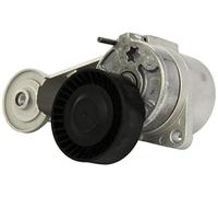 INA 534 0047 10 Braccio tenditore Cinghia Poly-V