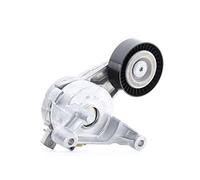 Ina 534005910 Tensionatori