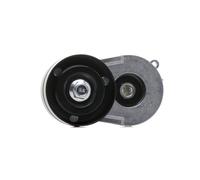 INA 534 0082 30 Braccio tenditore, Cinghia Poly-V