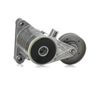 Ina 534 83 30 Braccio Tenditore, Cinghia PolyV