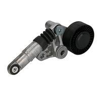 INA 534 0098 10 Braccio tenditore, Cinghia Poly-V