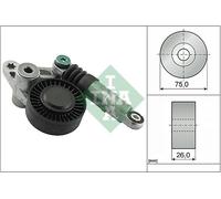 INA 534 0098 10 Tendicinghia,Cinghia Scanalata per Audi,Audi ( FAW ),Porsche,VW