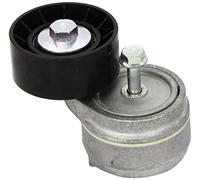 Schaeffler INA 534 0101 20 Tendicinghia, Cinghia Poly-V per ALFA ROMEO,FIAT,LANC