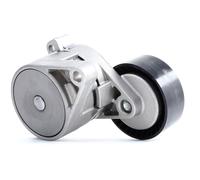 INA 534 0101 20 Braccio tenditore, Cinghia Poly-V