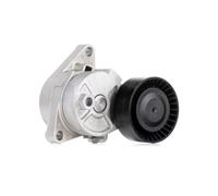 Ina 534 104 10 Braccio Tenditore, Cinghia PolyV