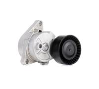 INA 534 0104 10 Braccio tenditore Cinghia Poly-V Ø70mm per BMW 3 Sedan (E46)