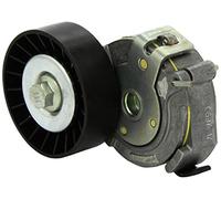 INA 534 0106 20 Braccio tenditore Cinghia Poly-V