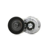 INA 534 0109 20 Braccio tenditore Cinghia Poly-V | Compatibile con: ALFA ROMEO 145, 146, 147, 155, 156, 156 Sportwagon, 166, GT, GTV, SPIDER, FIAT BARCHETTA, BRAVA, BRAVO I