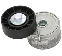INA 534 0110 20 Braccio tenditore Cinghia Poly-V | Compatibile con: CITROËN BERLINGO / BERLINGO FIRST Großraumlimousine (MF_, GJK_, GFK_