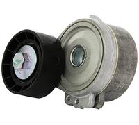 INA 534 0111 20 Braccio tenditore Cinghia Poly-V