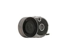 INA 534 0116 20 - Braccio Tenditore, Cinghia Poly-V