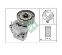 INA 534 0118 20 Tensionatore Cinghia A V Per Opel Cadillac Chevrolet Lada