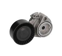 Schaeffler INA 534 0121 10 Tendicinghia, Cinghia Poly-V per BMW