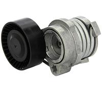 INA 534 0122 10 Braccio tenditore Cinghia Poly-V