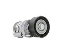 INA 534 0123 20 Braccio tenditore, Cinghia Poly-V