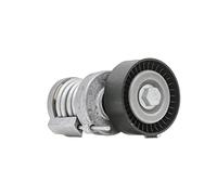 Ina 534 123 20 Braccio Tenditore, Cinghia PolyV