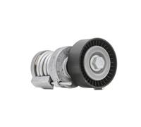 INA 534 0123 20 Braccio tenditore Cinghia Poly-V Ø70mm per VW GOLF VI (5K1)