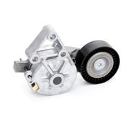 INA 534 0132 30 Braccio tenditore Cinghia Poly-V Ø70mm per VW Golf IV Hatchback