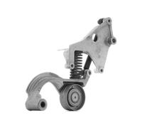 INA 534 0159 10 Braccio tenditore, Cinghia Poly-V