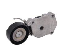 INA 534 0160 10 Braccio tenditore Cinghia Poly-V