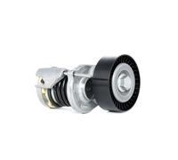INA 534 0164 10 Braccio tenditore, Cinghia Poly-V