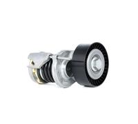 INA 534 0164 10 Braccio tenditore Cinghia Poly-V Ø70mm per VW GOLF VI (5K1)