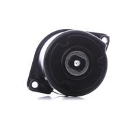 INA 534 0170 10 Braccio tenditore, Cinghia Poly-V