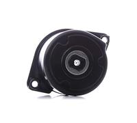 Tendicinghia multirighe 534 0170 10 INA per BMW 3 Coupé 3 X5 5 Touring X3 5 7 6