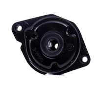 INA 534 0239 10 - Tendicinghia, Cinghia Poly-V