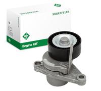 INA Tendicinghia 534025010 Poly-V per Citroën C2/C3 e Peugeot 301/307 Break/207